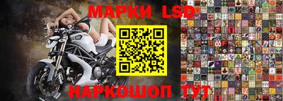 СК Дмитров