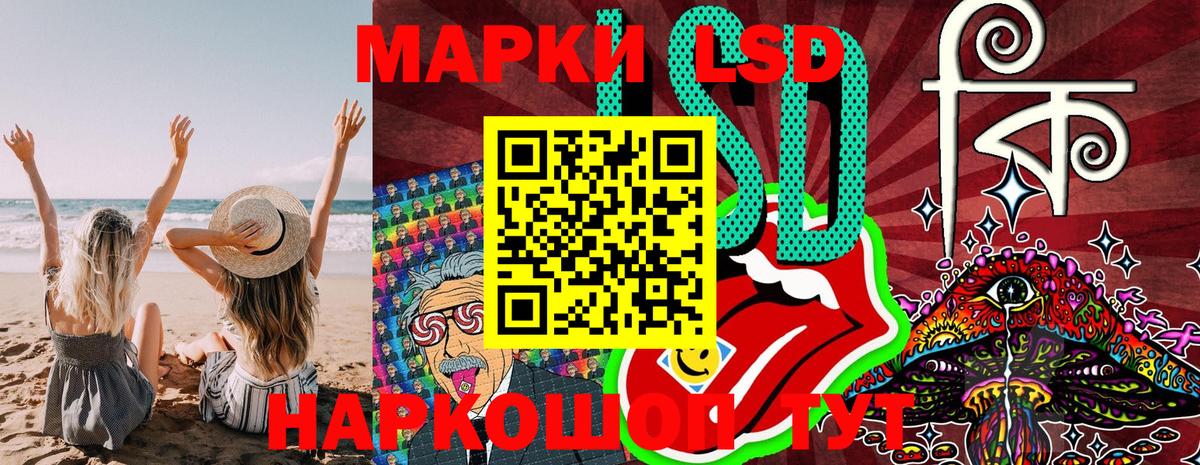 купить наркоту  Марки NBOMe  Вход с VPN  Марки NBOMe 1500мкг  Выборг 