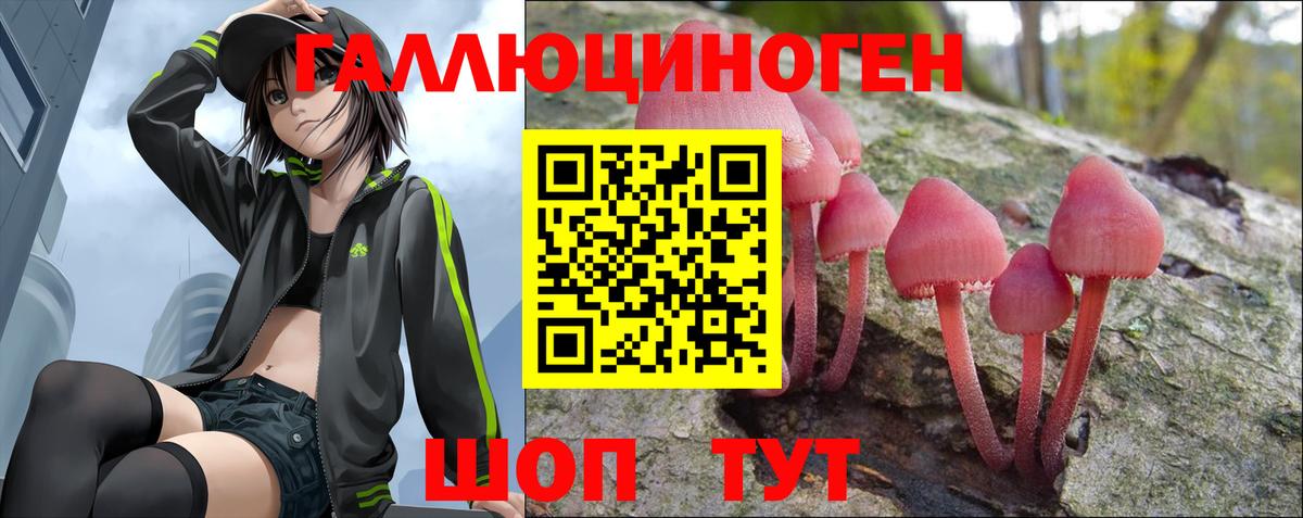 Выборг  Галлюциногенные грибы Psilocybine cubensis  Вход с VPN 